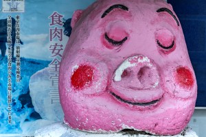 Gourmet pig